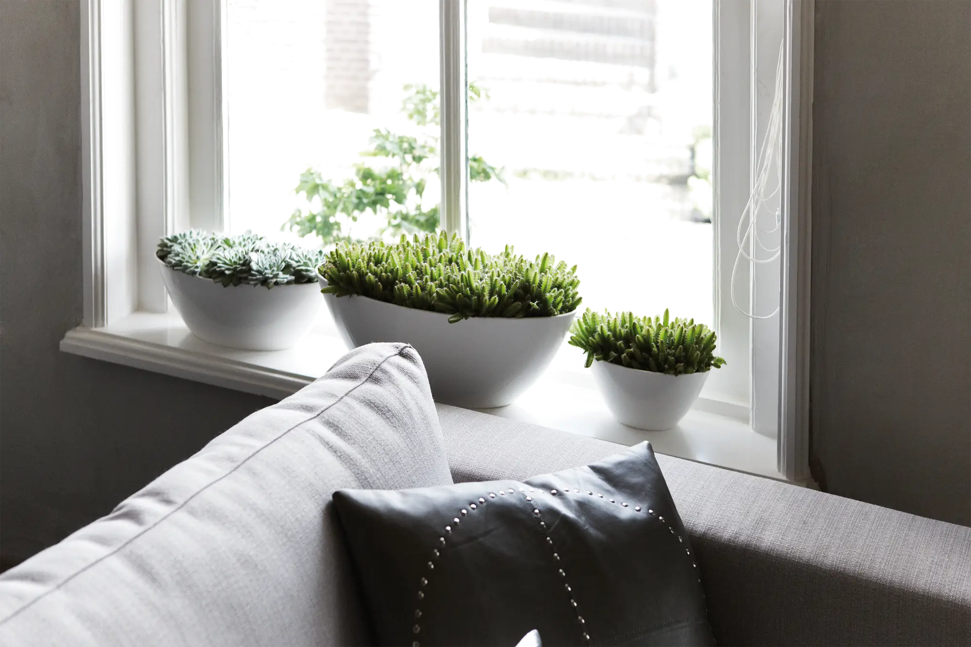 Miniatyrbild 4