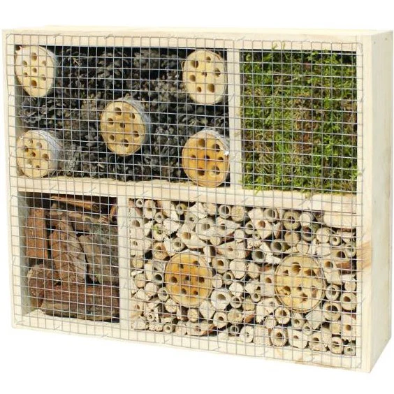 Miniatyrbild 2