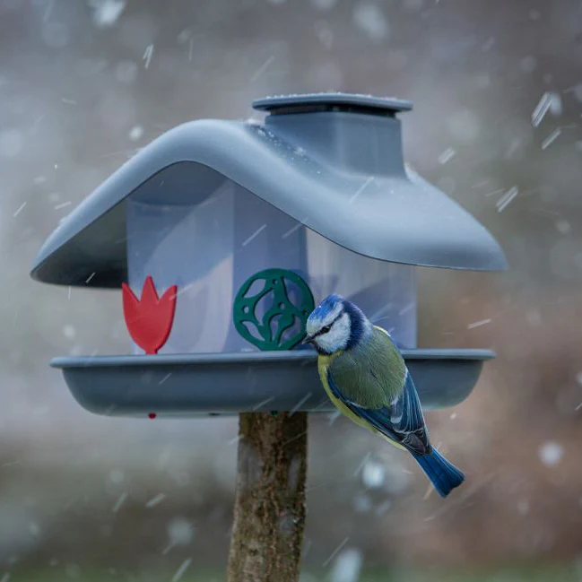 Miniatyrbild 2