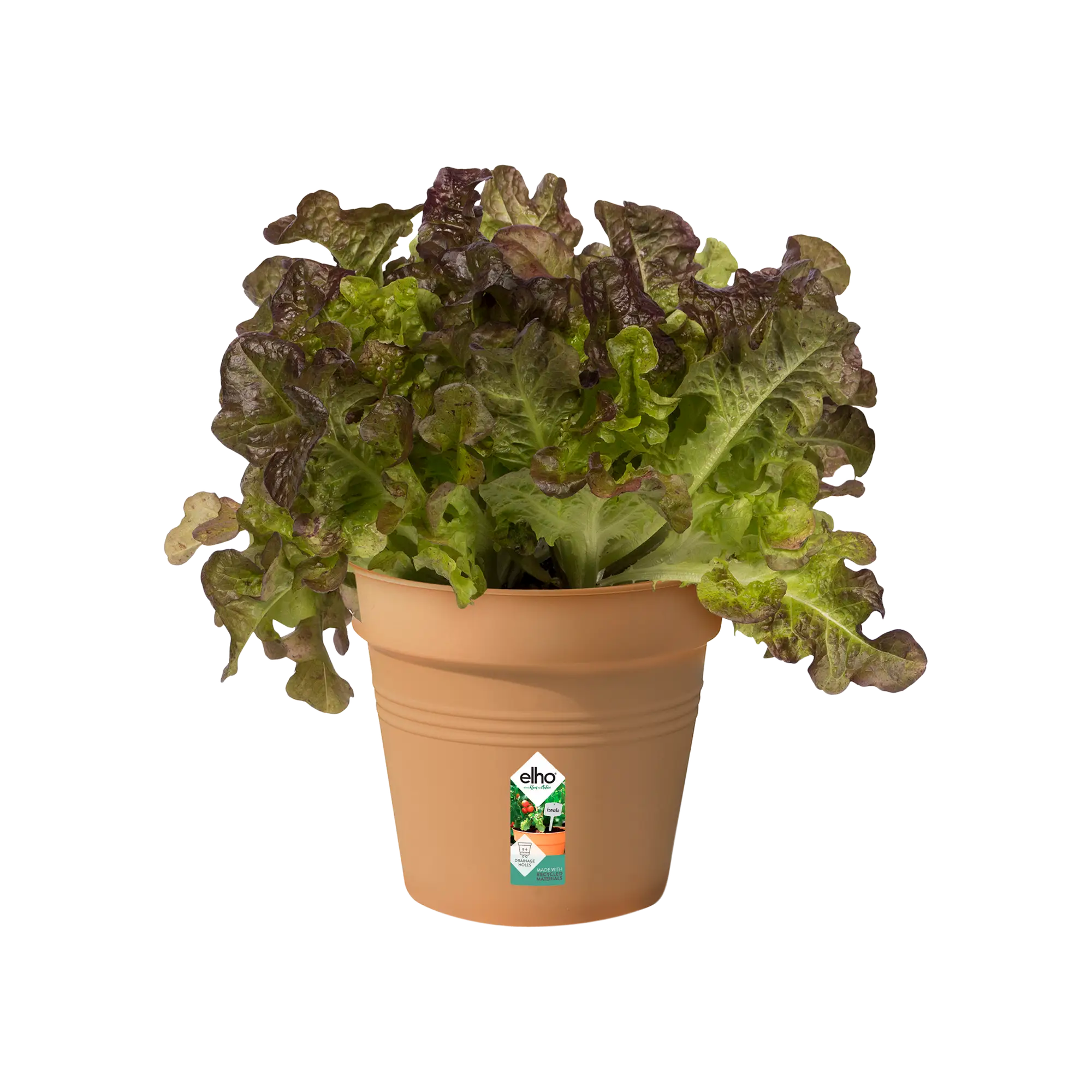 Miniatyrbild 3