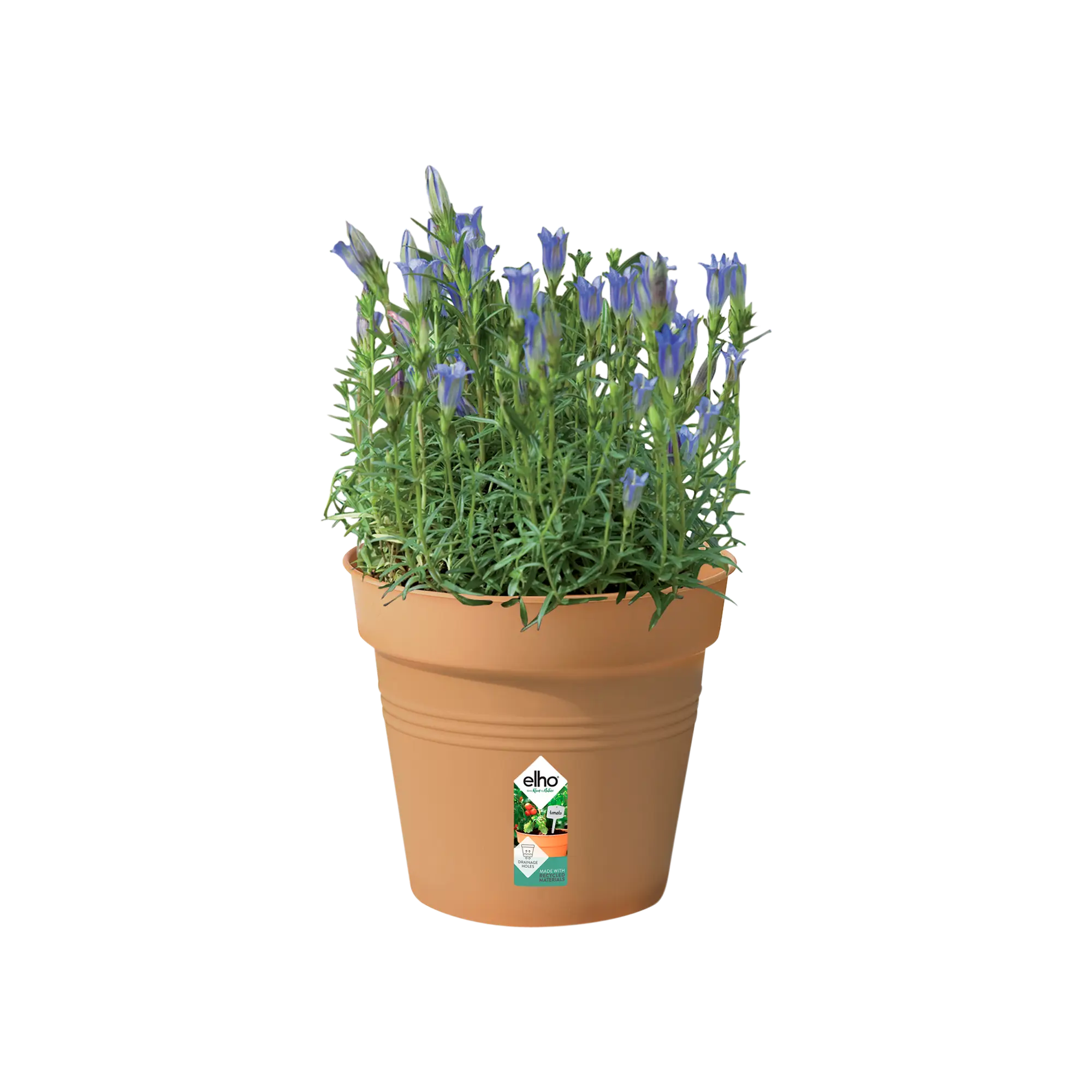 Miniatyrbild 3