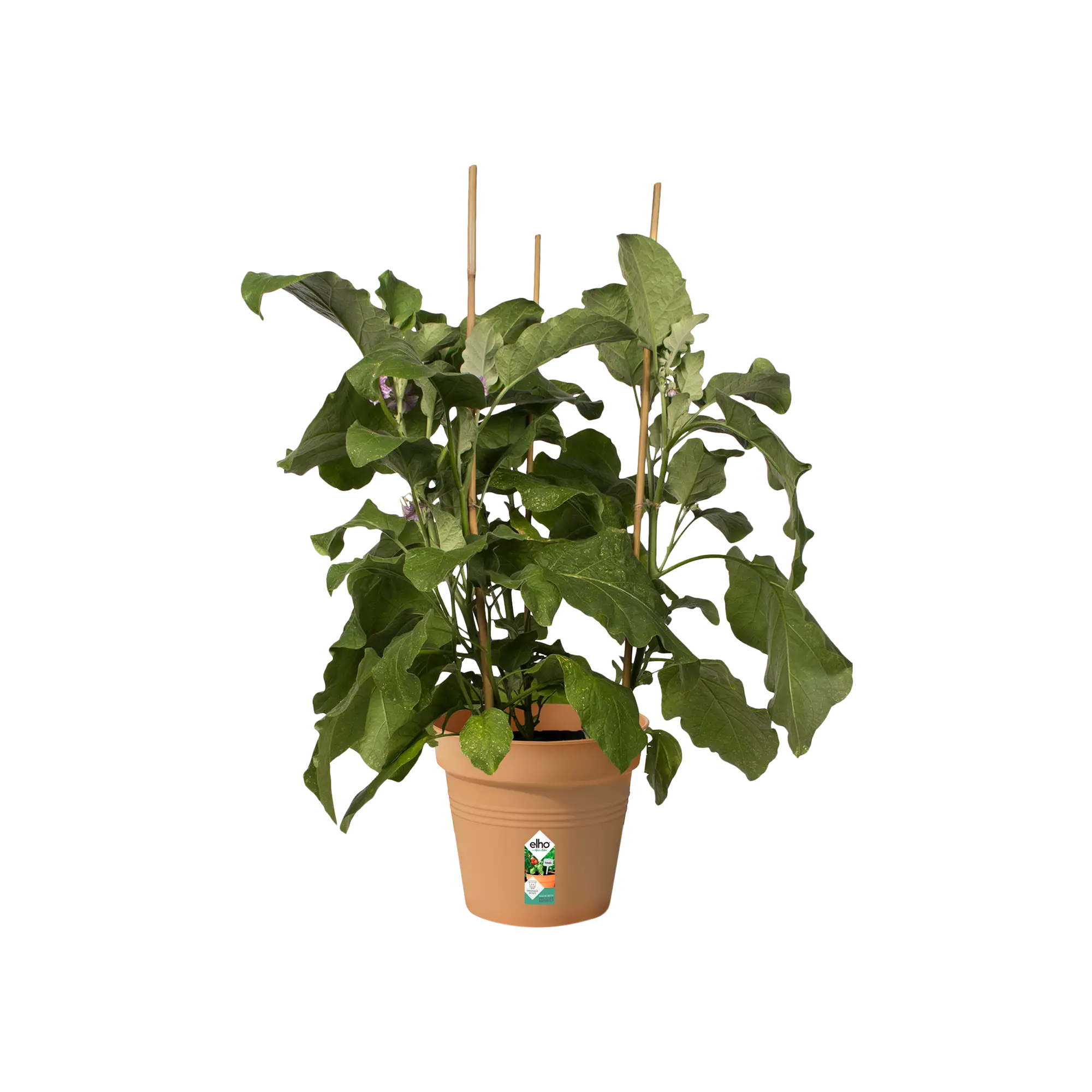 Miniatyrbild 5