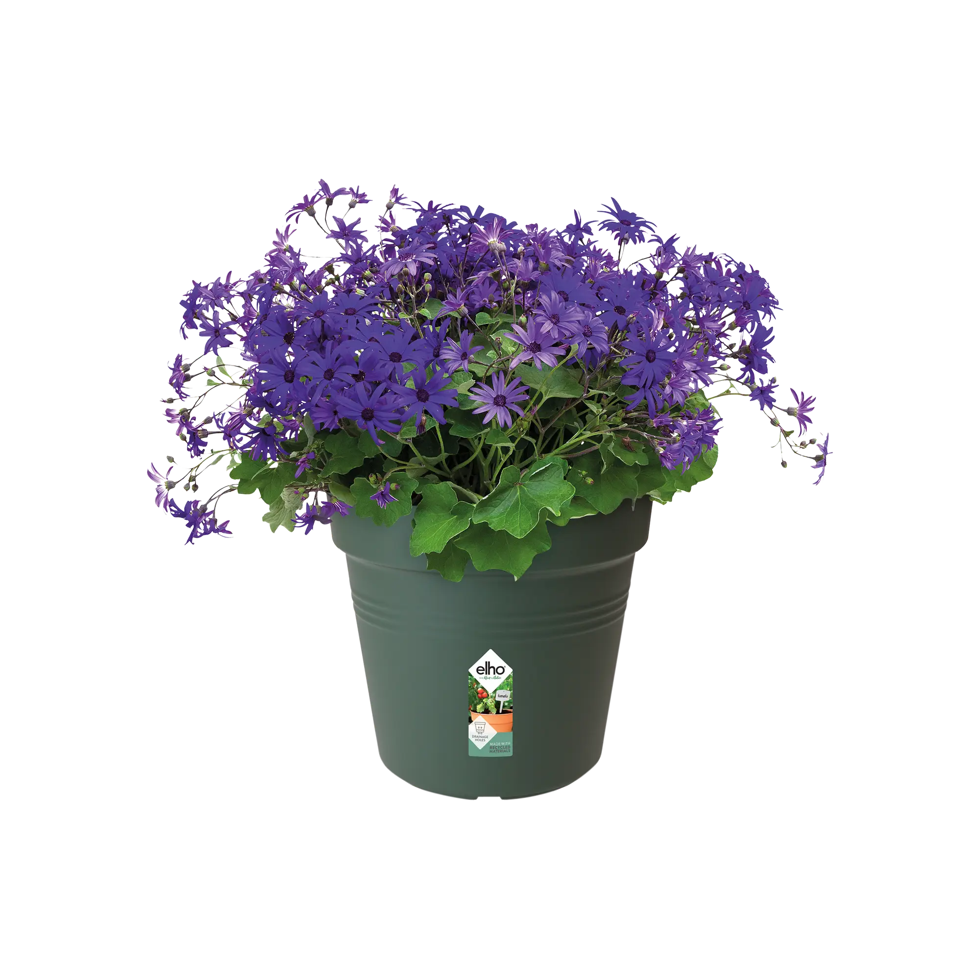 Miniatyrbild 5
