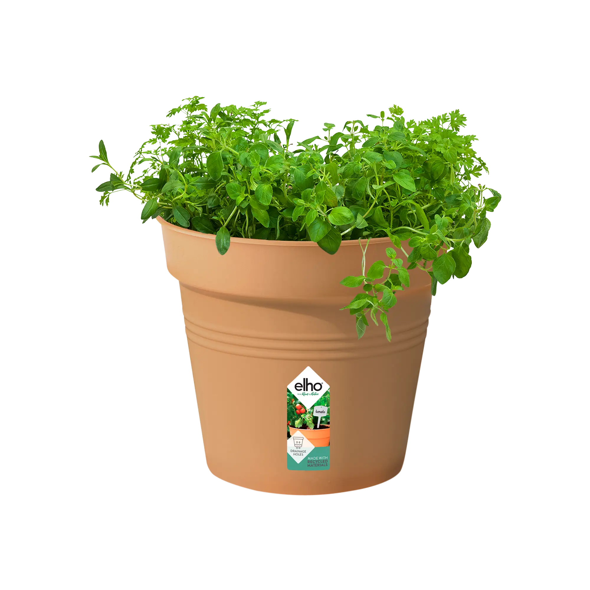 Miniatyrbild 3