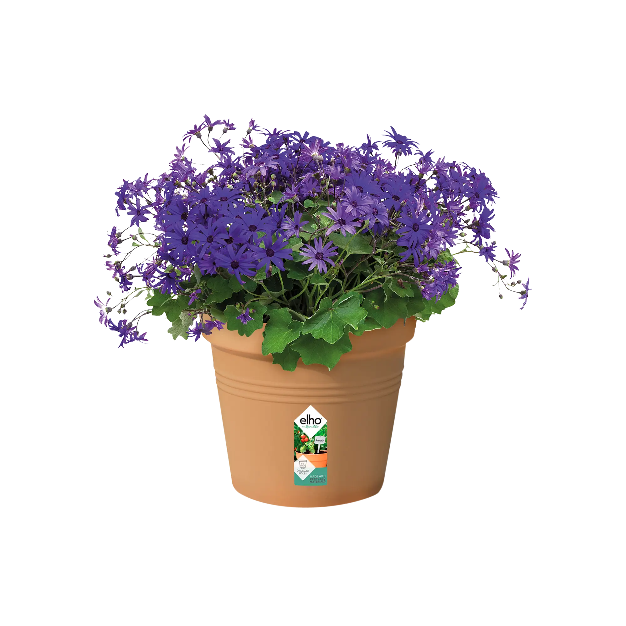 Miniatyrbild 5