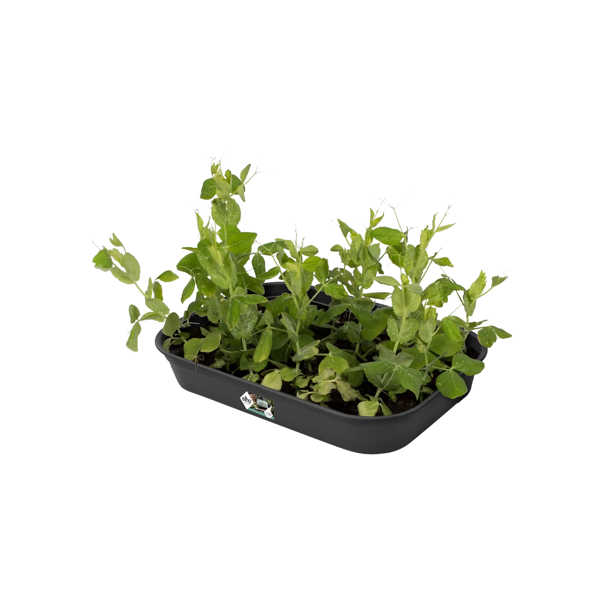 Miniatyrbild 3