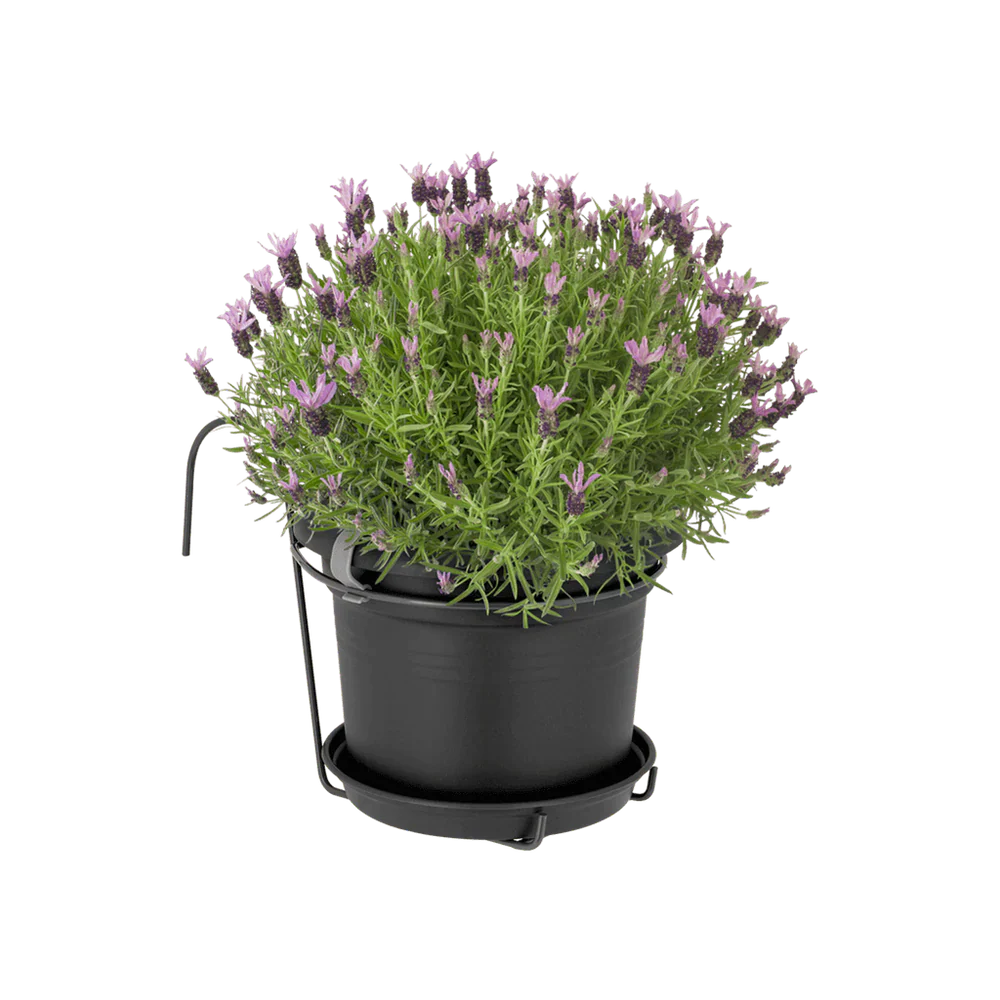 Miniatyrbild 4
