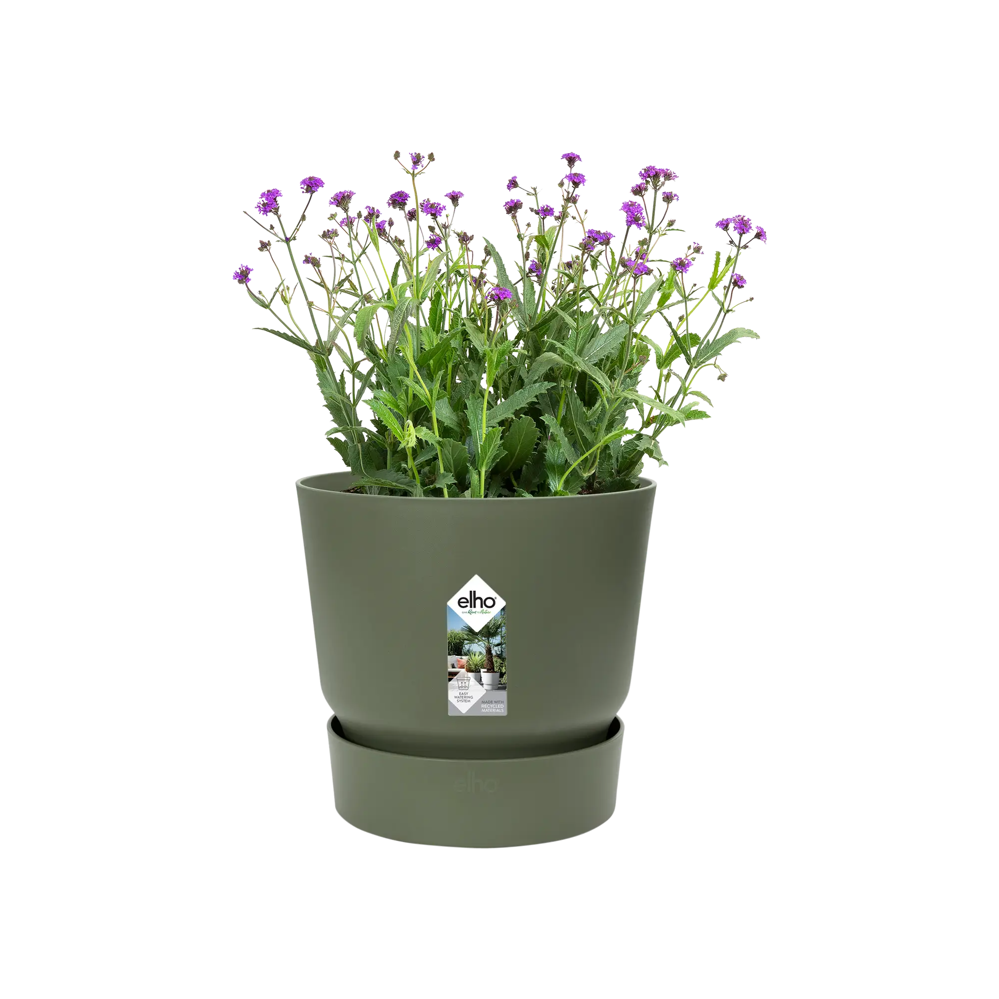 Miniatyrbild 4