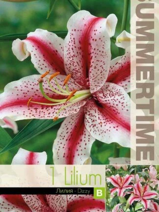 Miniatyrbild 2