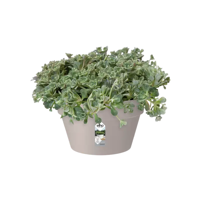 Miniatyrbild 3