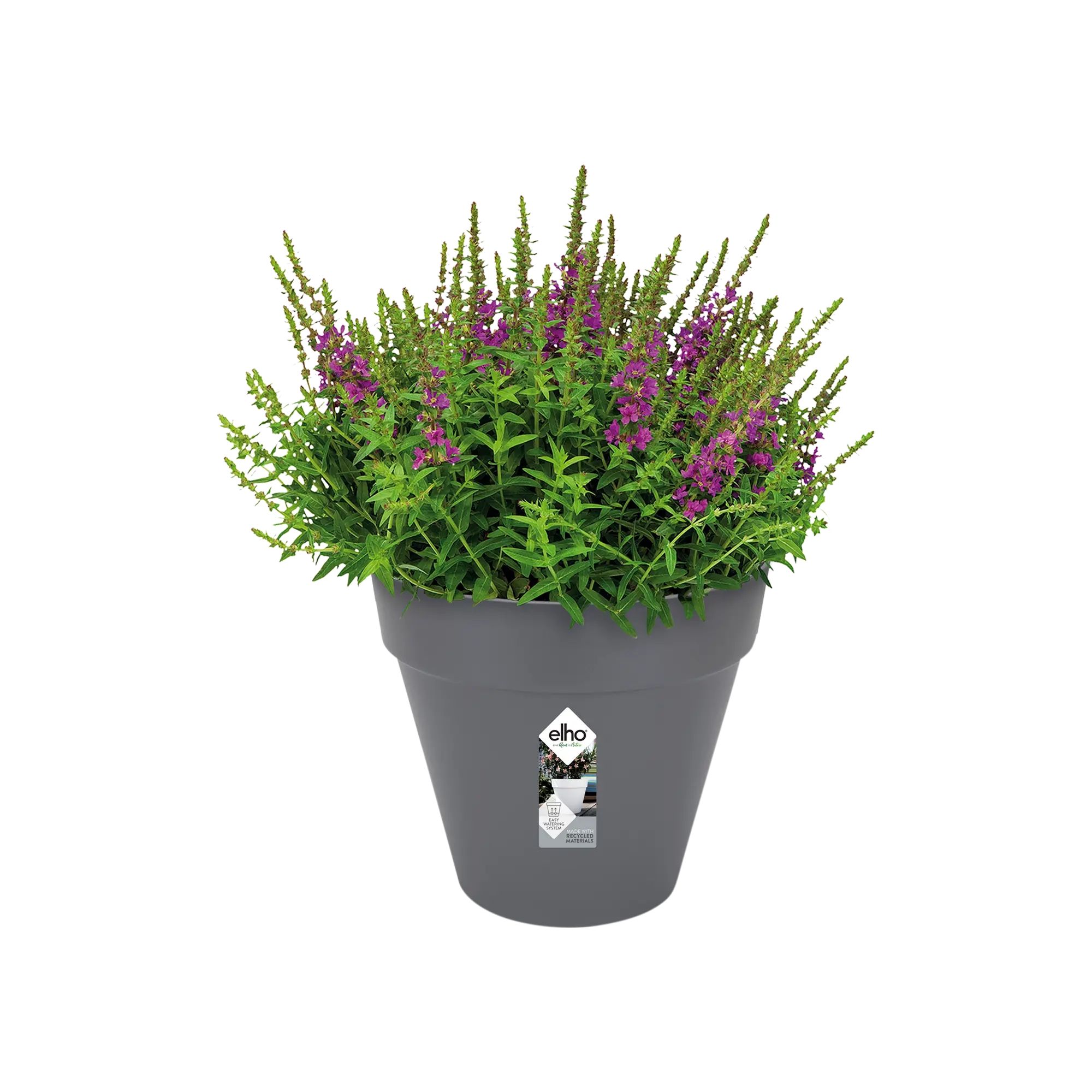 Miniatyrbild 3