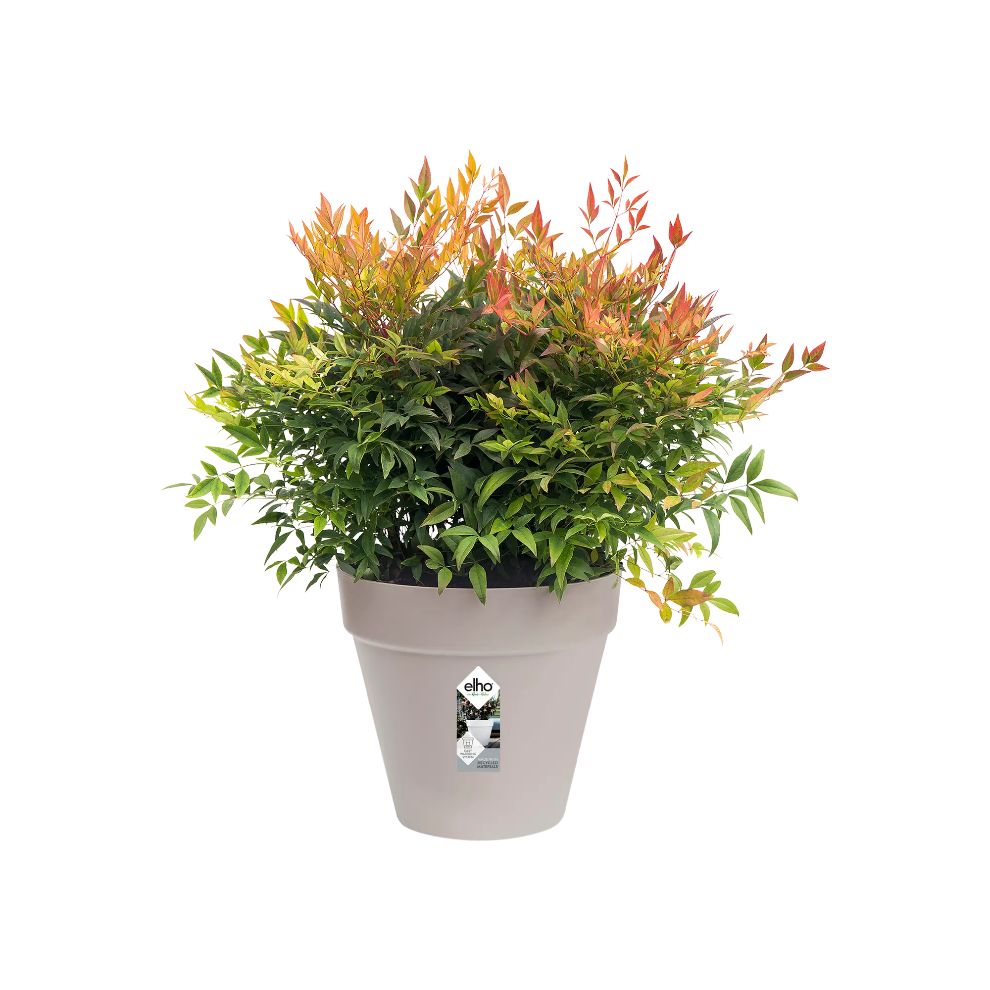 Miniatyrbild 4