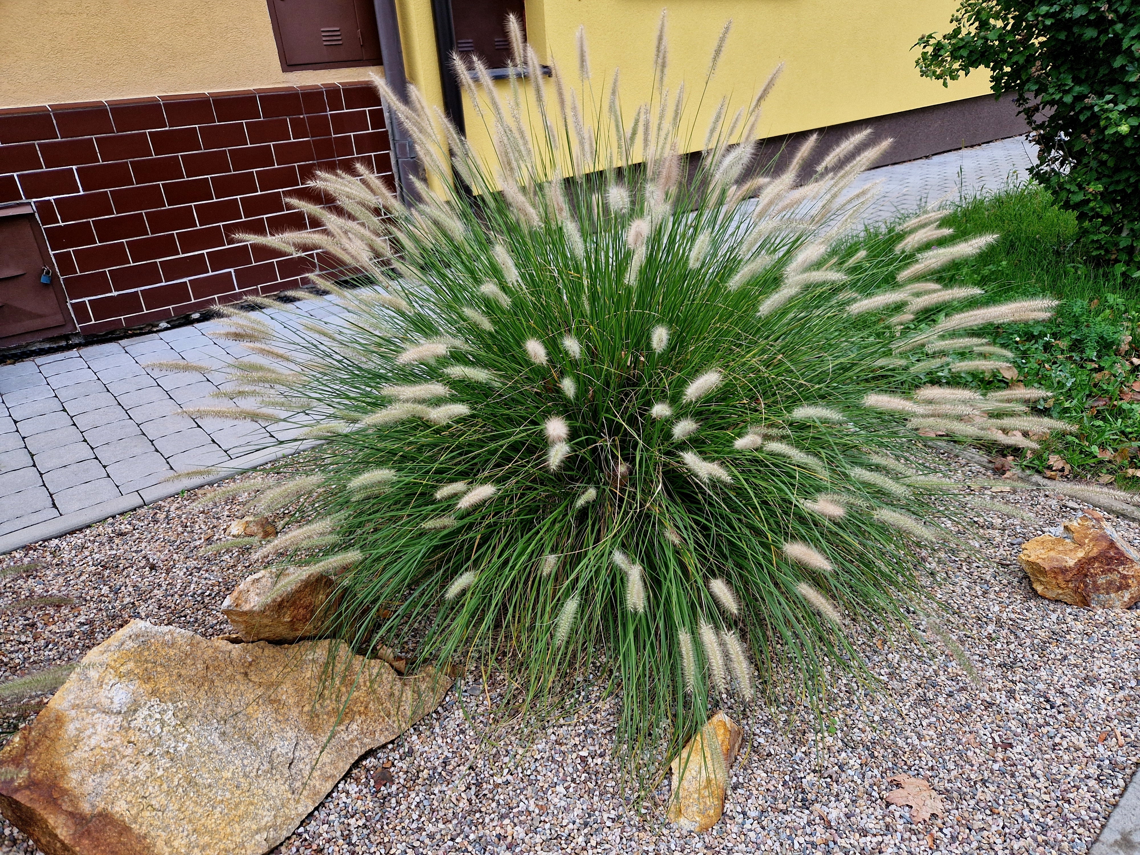 Miniatyrbild 4