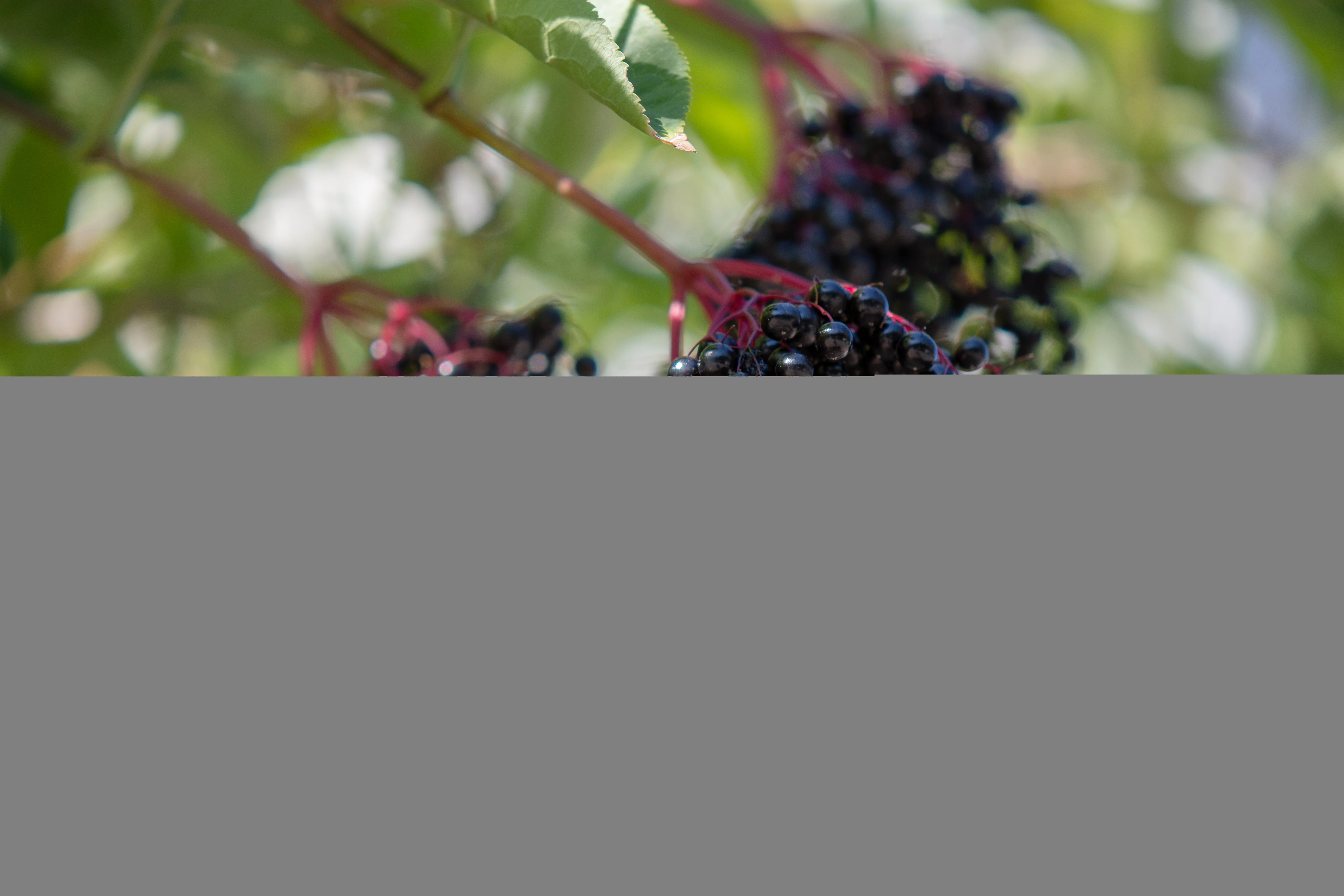Miniatyrbild 2