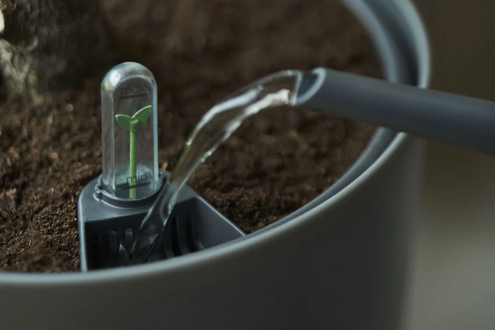 Miniatyrbild 4