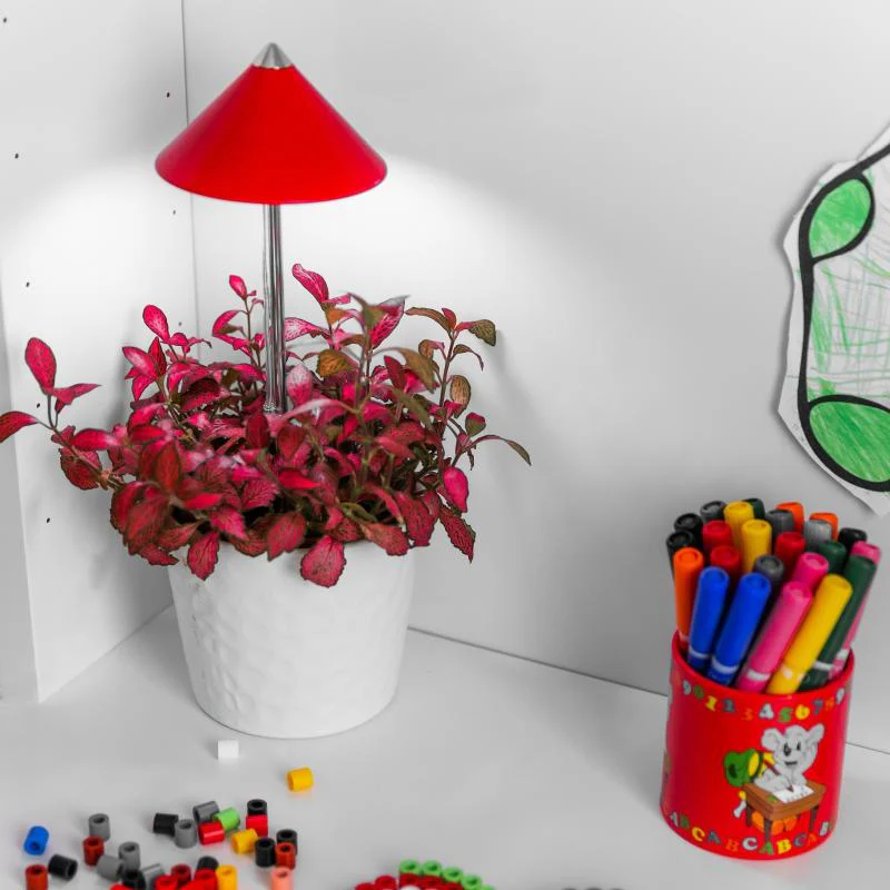 Miniatyrbild 2