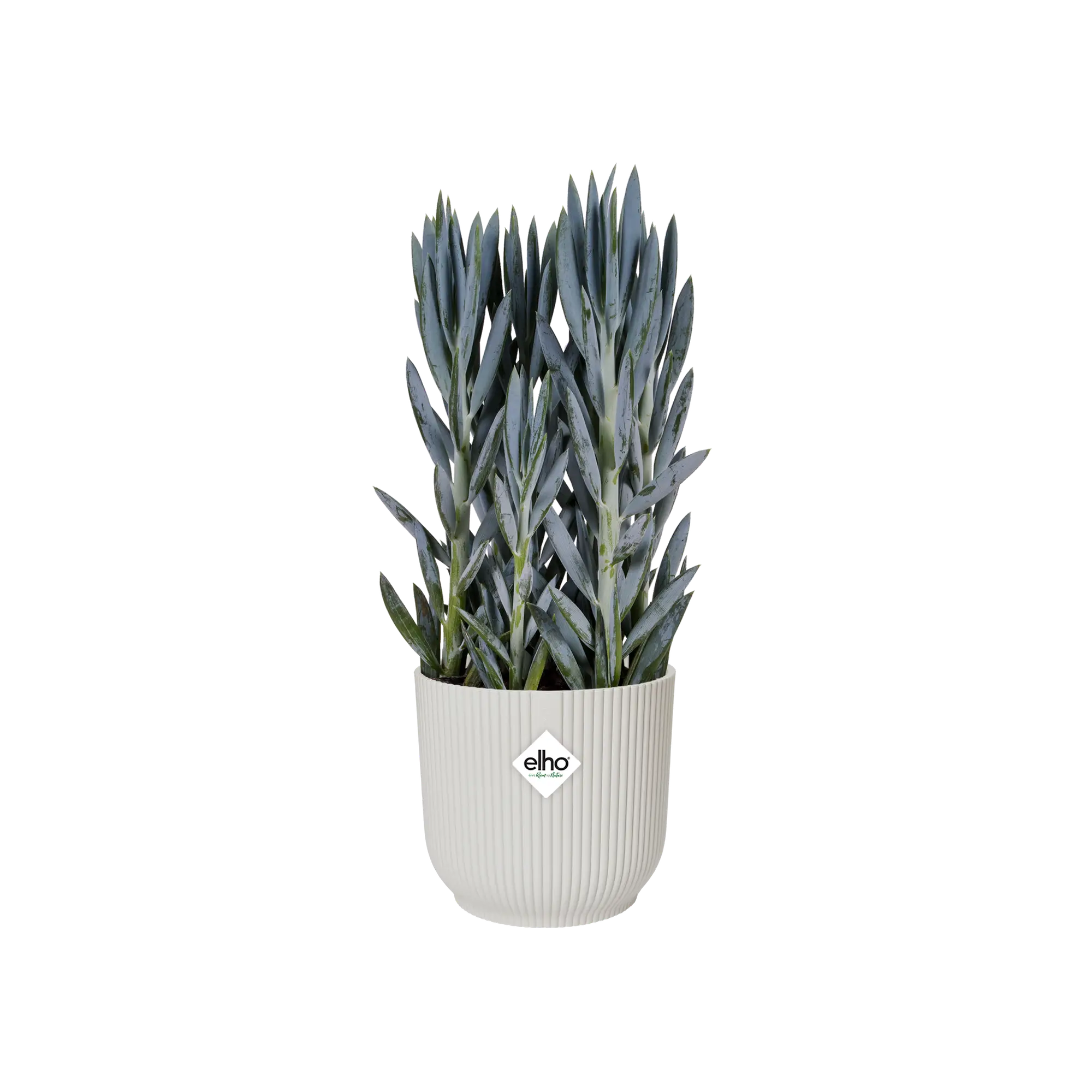 Miniatyrbild 6
