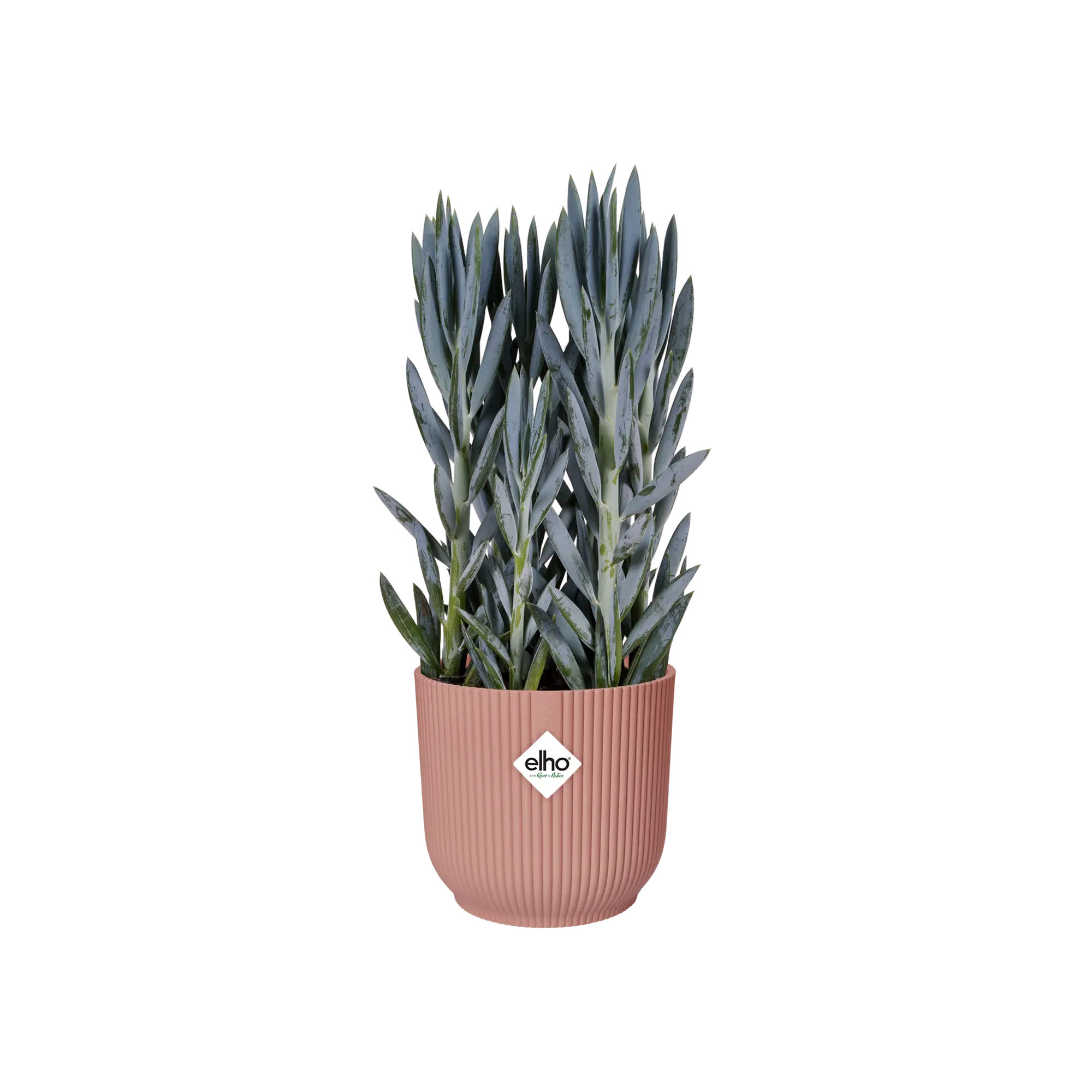 Miniatyrbild 4