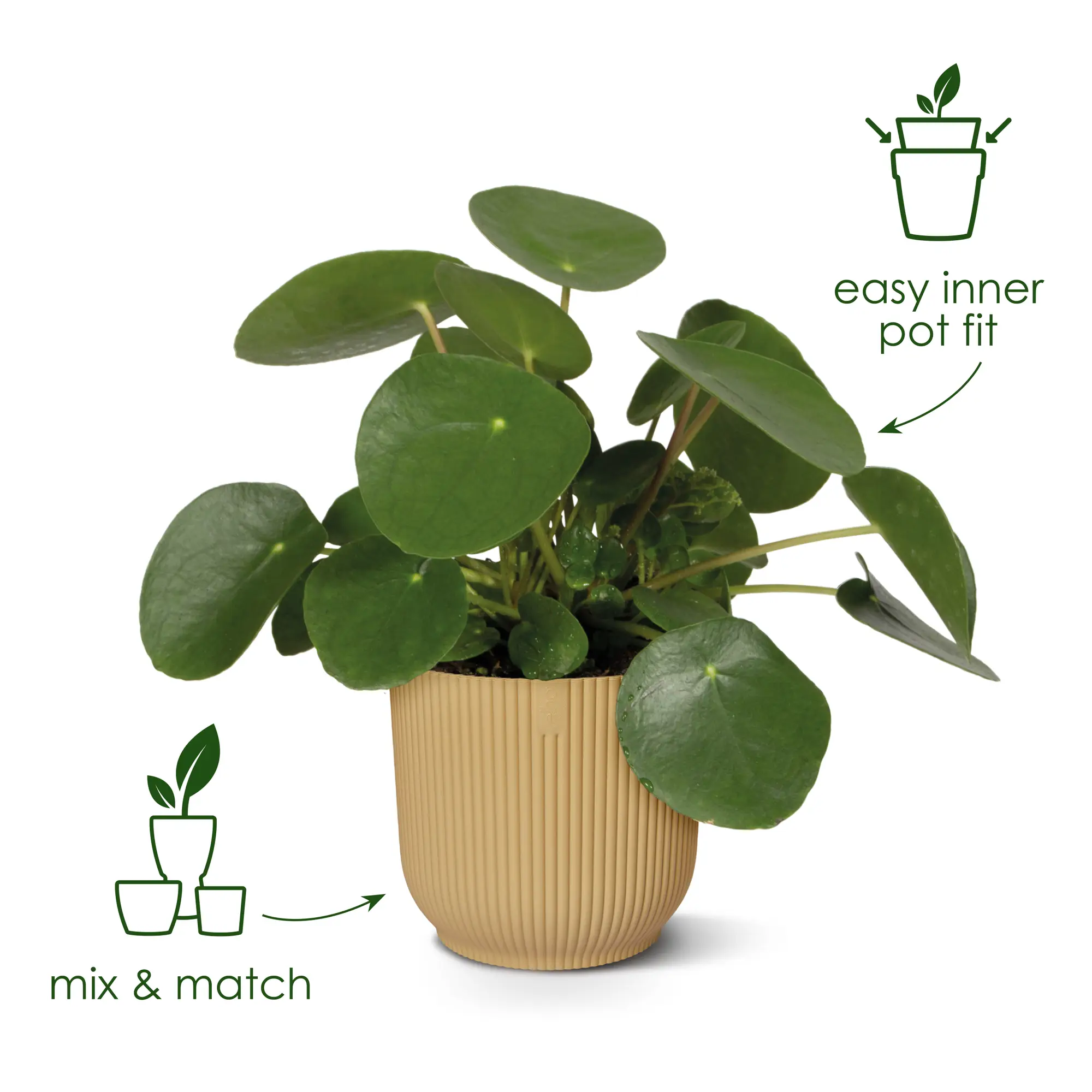 Miniatyrbild 9