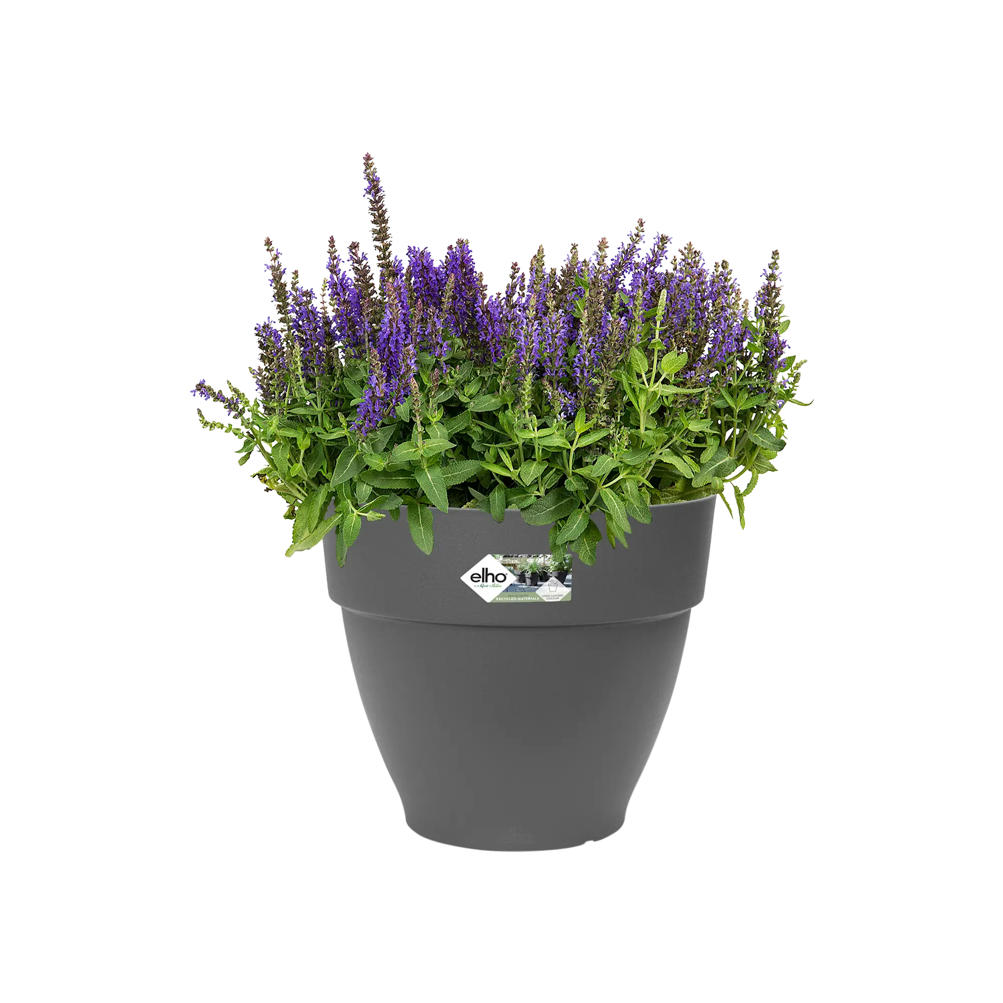 Miniatyrbild 5