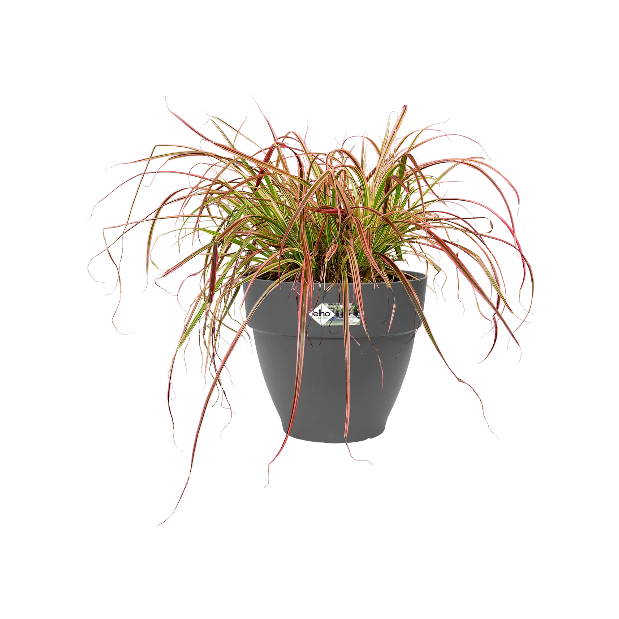 Miniatyrbild 3