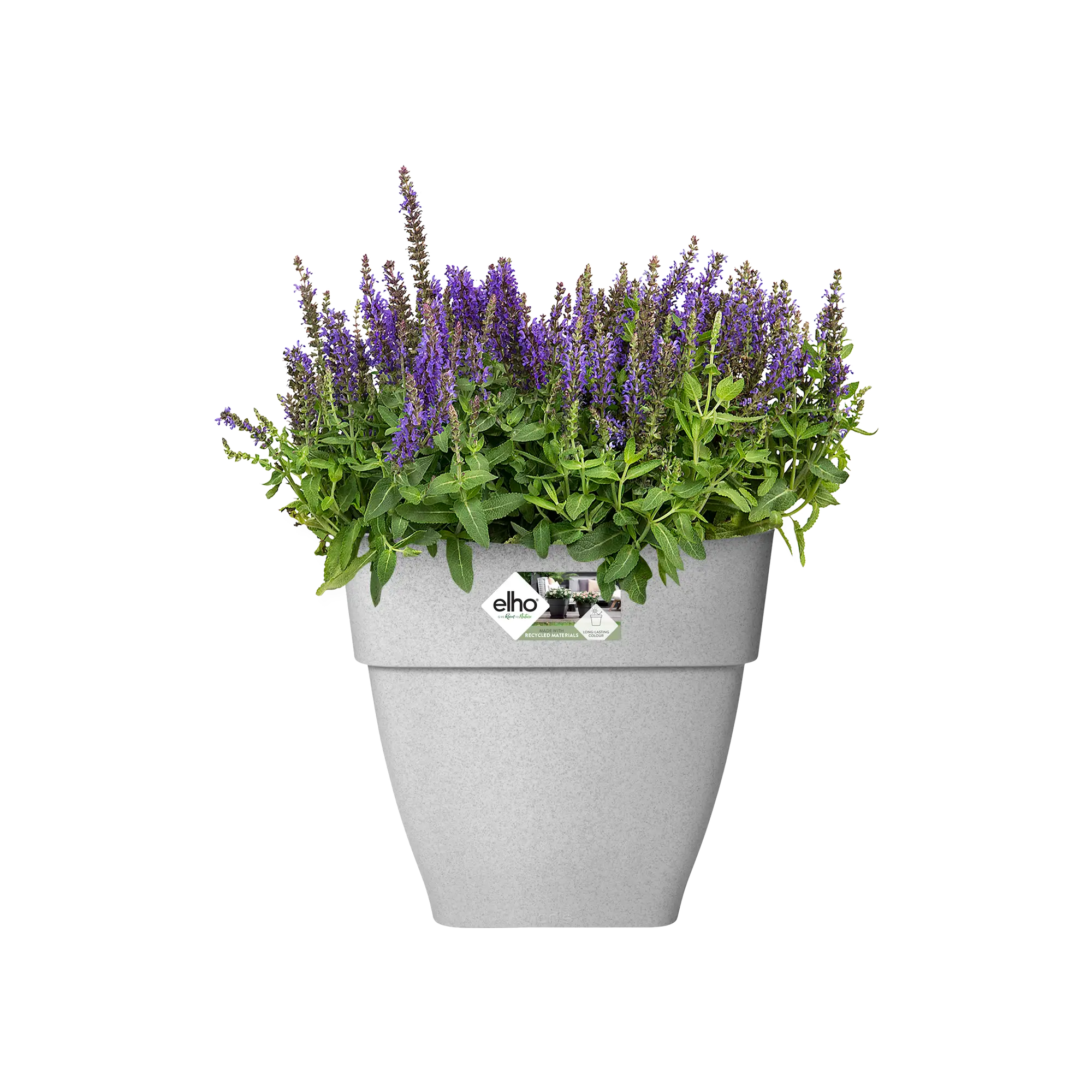 Miniatyrbild 4