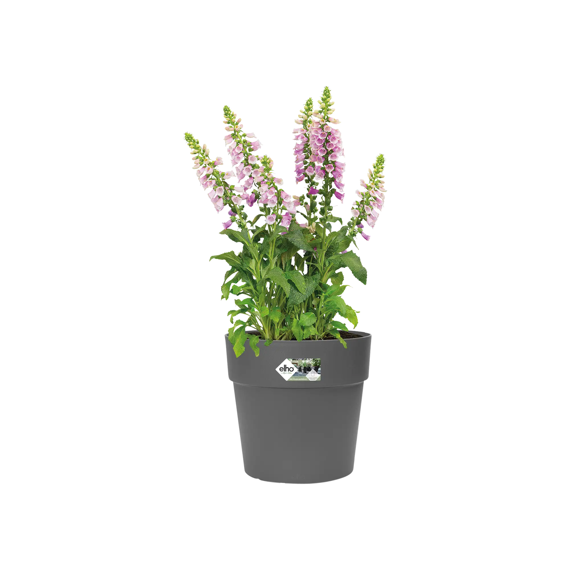 Miniatyrbild 3